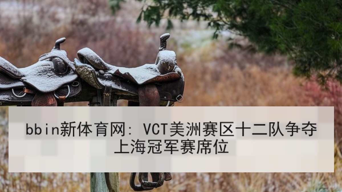 bbin新体育网: VCT美洲赛区十二队争夺上海冠军赛席位