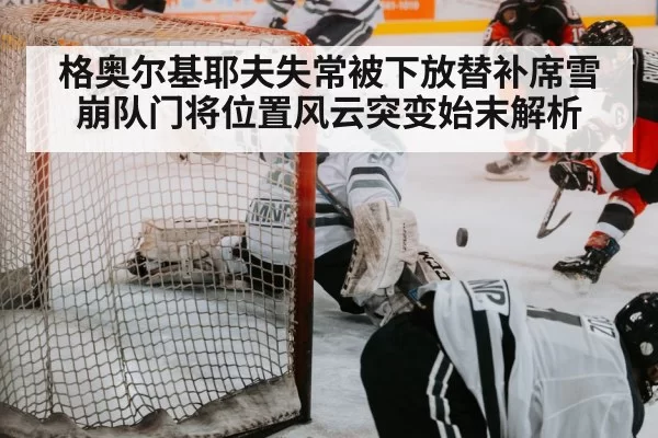 hockey goalie save