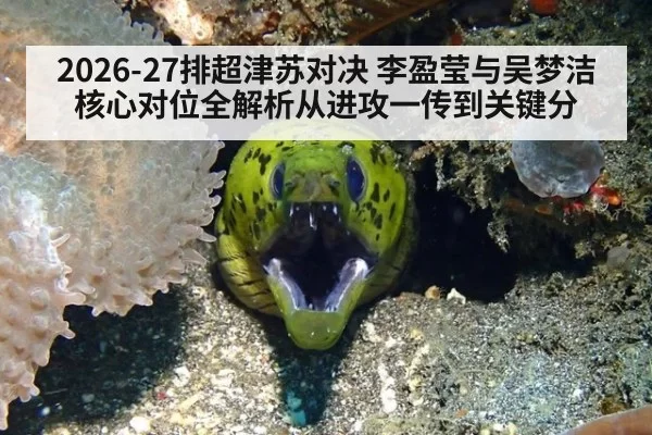2026-27排超津苏对决 李盈莹与吴梦洁核心对位全解析从进攻一传到关键分